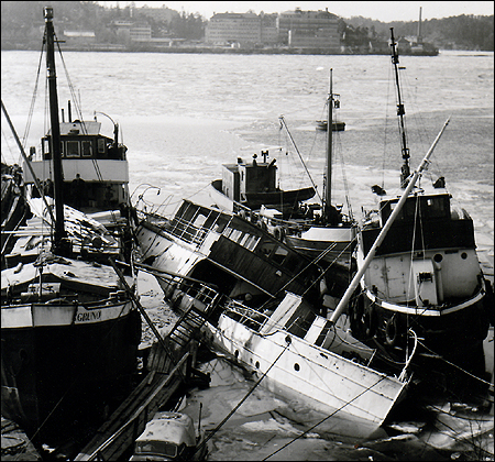 Sunnan under namnet Amphitrite vid Fredhäll 1967-03-11