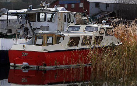Athena i Hemviken, Tynningö 2007-11-17