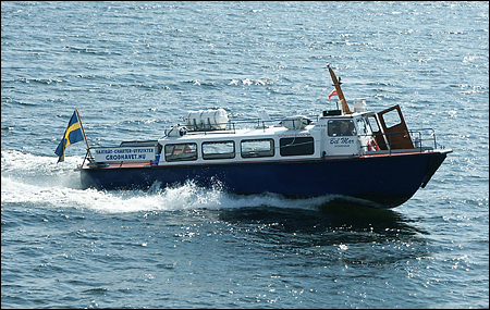 Belmar utanför Hässelby, Stockholm 2006-07-21
