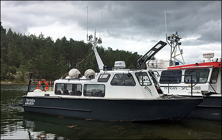 Svartmyran vid Fladdörren, Dalarö 2019-07-16