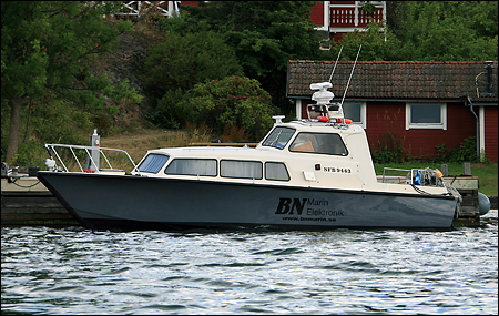 Sjbjrn vid Korsholmsvarvet, Dalar 2008-08-01