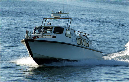 Vargvik utanför Söderviken, Ornö 2005-07-04