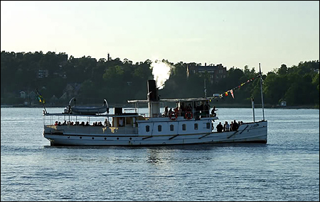 Ejdern hälsar ute på S:a Vaxholmsfjärden.