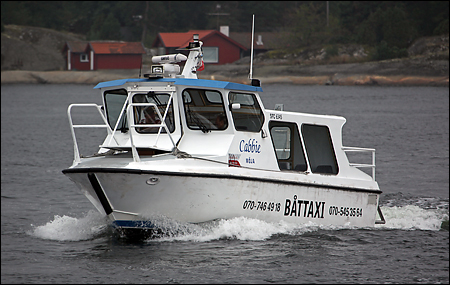 Cabbie utanf�r Ramsmora, M�ja 2010-08-18