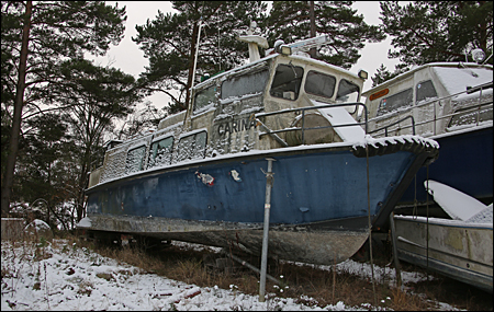 Carina p� Djur� 2016-12-13