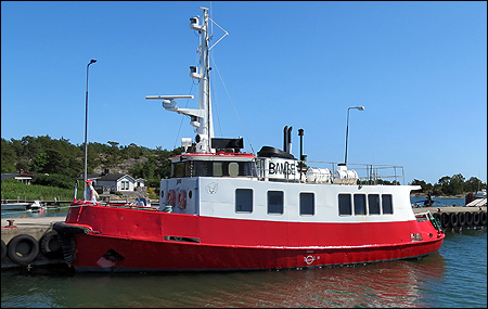 Bamse vid Ankarudden, Nyn�shamn 2023-06-26