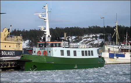 Bamse i Nyn�shamn 2006-03-01