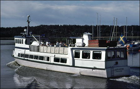 Labrador i Nyköping 1992-07-17