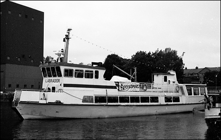 Labrador i Nyköping 1990-07-24