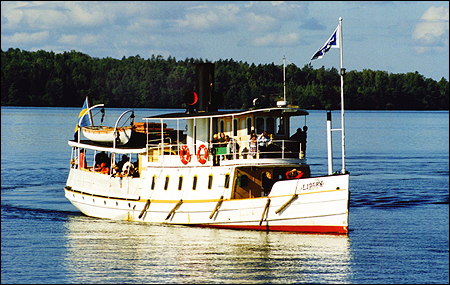 Ejdern vid Birka/Björkö, Ekerö 1999-09-14