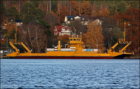 Gulli vid Stenslätten, Värmdö 2009-10-29