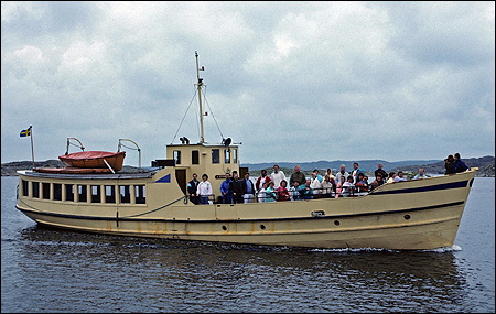 Stångehuvud vid Gullholmen 1988-09-03