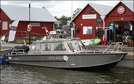 Fox i Trosa 2019-08-17