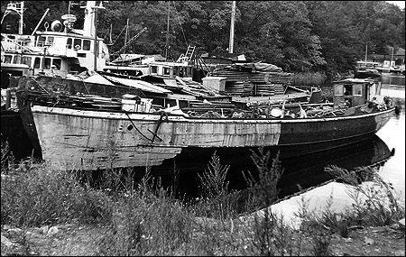 Lola i G�ddviken, Nacka 1977-09-18