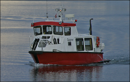 Gugner vid Ekholmen, Nämdö 2004-10-23