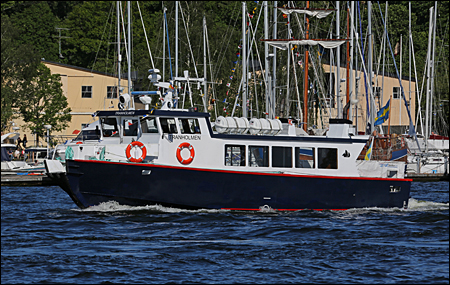 Tranholmen vid Vasahamnen, Stockholm 2015-06-12