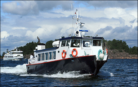 Tranholmen vid Viggsö, Värmdö 2009-06-19