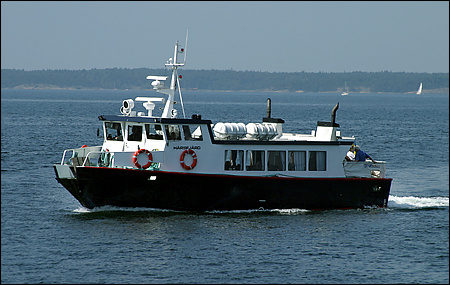 Hårsfjärd vid Fjärdlång 2006-07-25
