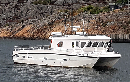 HavsCatten i L�ngedrag 2023-06-21