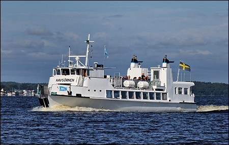 Havs�rnen vid Amundsgrund, V�ster�s 2024-07-28