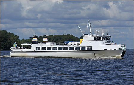Havsörnen vid Broudden, Sundbyholm 2011-08-09