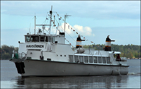 Havsörnen i Västerås 2008-05-03