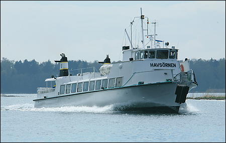 Havsörnen vid Demansören, Norröra 2007-05-12