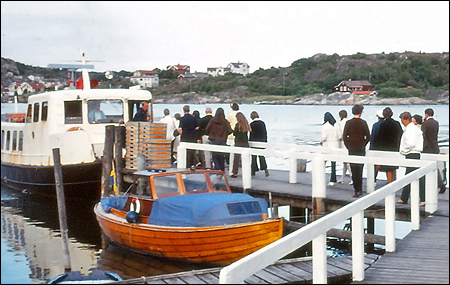 Viking vid Brännö Rödsten, Brännö