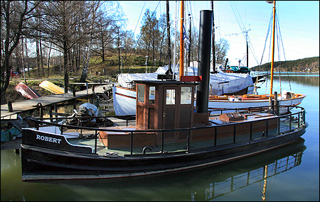 Robert vid Ragnhildsborg, S�dert�lje 2008-04-25