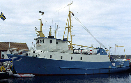 Strömstjärna vid Käringön 1993-08-08