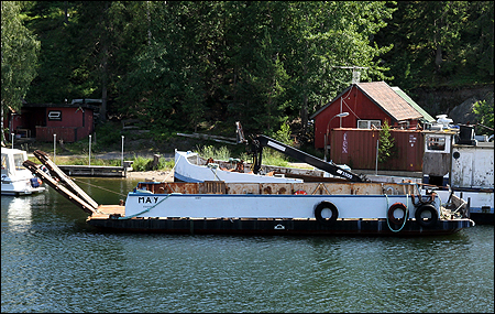 May av Stavsn�s i �sterviken, H�l�, V�rmd� 2012-07-09