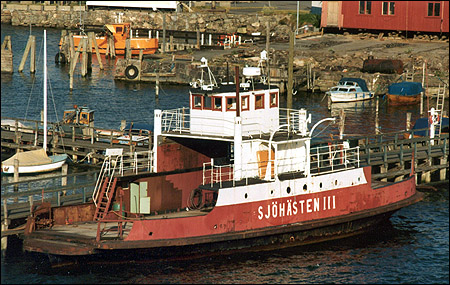 Sjöhästen III
