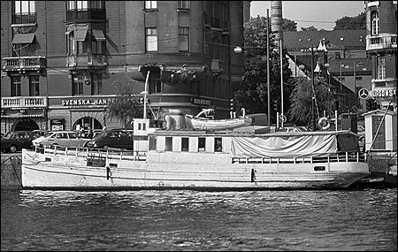 Svan vid Strandv�gskajen, Stockholm 1978-08