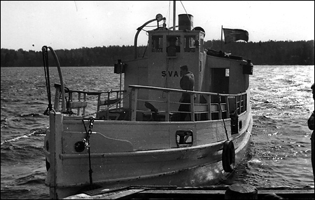 Svan vid Sippsö, Lindalssundet 1959