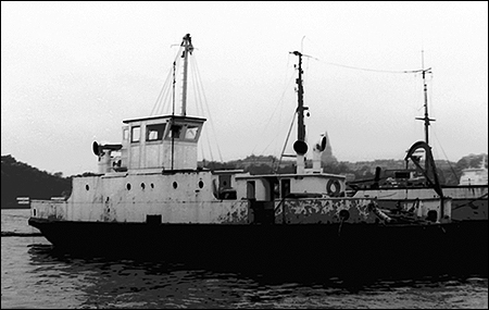 Sjöhästen vid Djurgården, Stockholm 1986-06-20