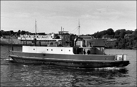 Sjöhästen utanför Färjenäs, Göteborg 1965-10-09