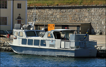 Rödnäbba vid Kungsholms fort, Karlskrona 2006-07-14