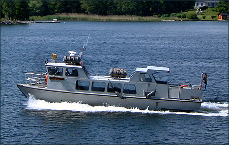 Rödnäbba i Tenösund, Vaxholm 2003-06-25