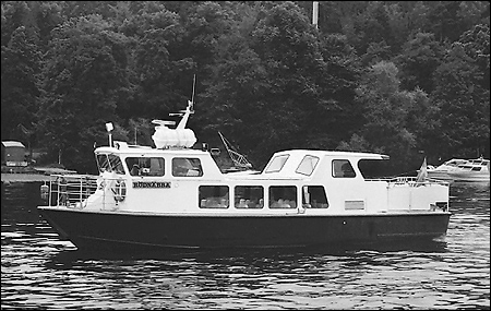 Rödnäbba 1991-08-25