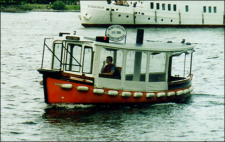 Lillymer p� Ladug�rdslandsviken, Stockholm 2003-06-28