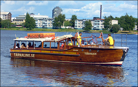 Tärnan vid Mariebergsskogen, Karlstad 2013-07-31