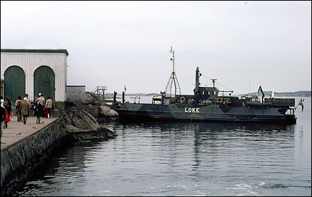 Loke vid Känsö 1980-05