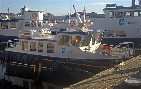 L�v� II i Sydhamnen, Dyr�n 2010-11-07