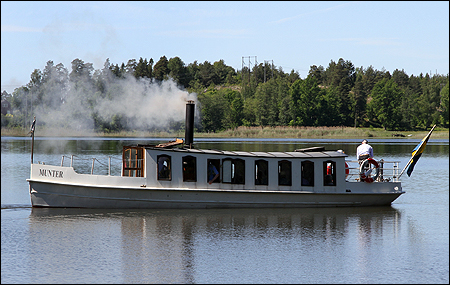 Munter i Vrena 2016-06-06