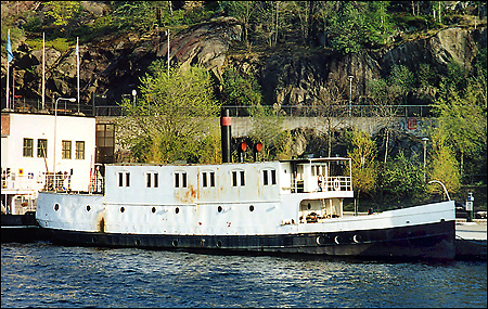 Ragvald vid Söder Mälarstrand, Stockholm 2004-05-08