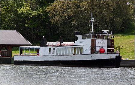 Karl Johan vid Hamnskär, Enhörna, Södertälje 2011-05-21