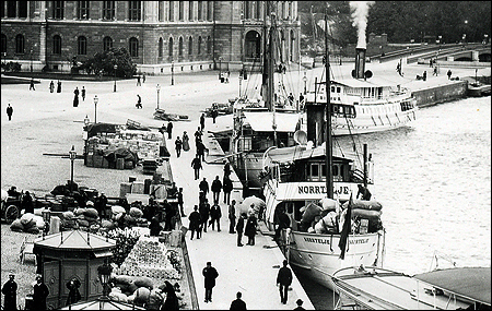 Norrtelje vid Södra Blasieholmshamnen, Stockholm ca. 1892