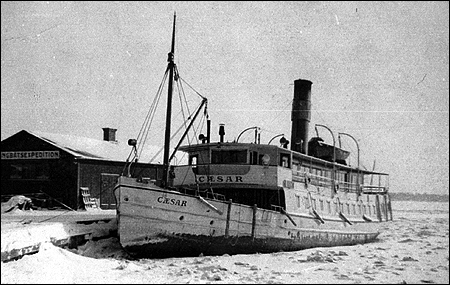 Caesar i Västerås ca. 1935