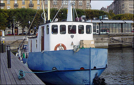 Svanen vid Strandv�gskajen, Stockholm 2005-10-19