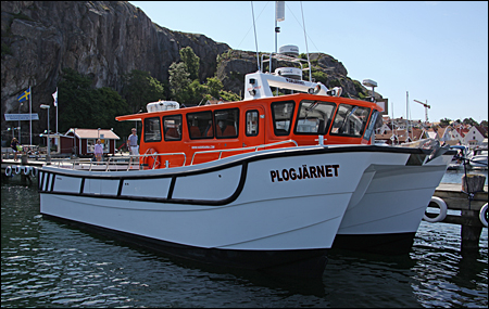 Plogjrnet i Fjllbacka 2013-07-09